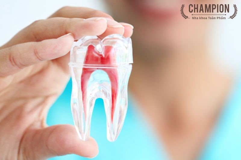 Tại sao cần phải điều trị tủy răng cối nhỏ?