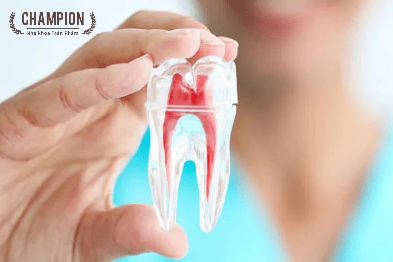 Cách khắc phục và phòng tránh răng sứ bị mẻ?